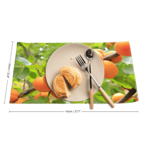 Apricot Heat-resistant Placemat Set of 4